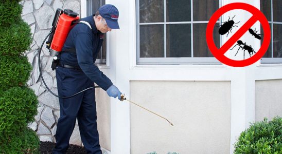Hemşin Akrep İlaçlama böcek ilaçlama ve haşere kontrolü — ilaclama-tr.com